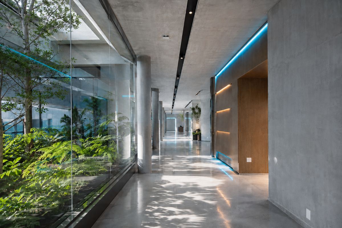 Modern hospital corridor with glass walls, indoor garden, and contemporary architecture